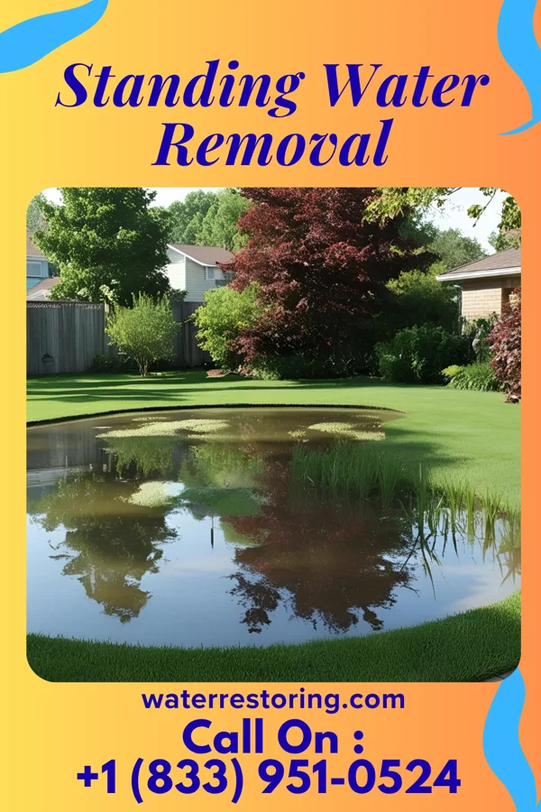 Standing Water Removal in Wilbur Park, MO
